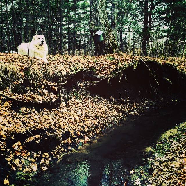 17382_10152913650648051_196649611979397354_n