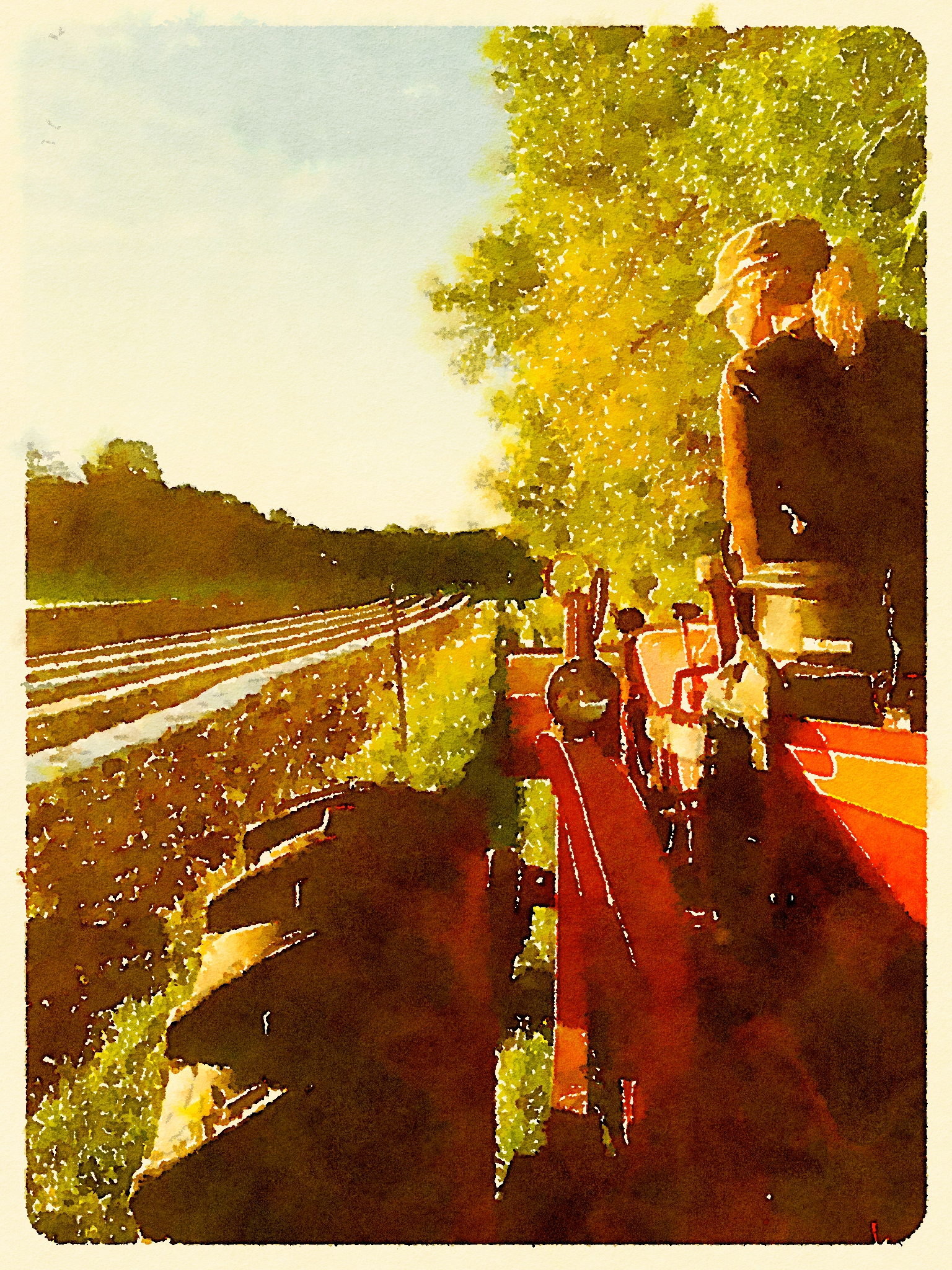 Painted in Waterlogue